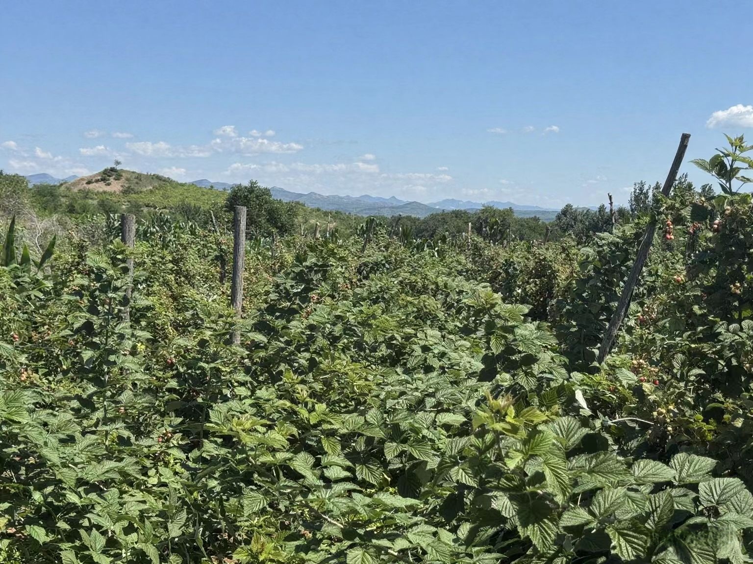 023986a1b178366236c81767f2823065