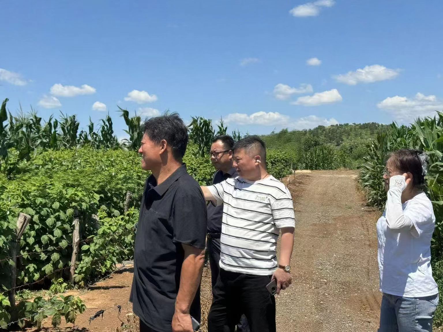 微信图片_20250714094617_43