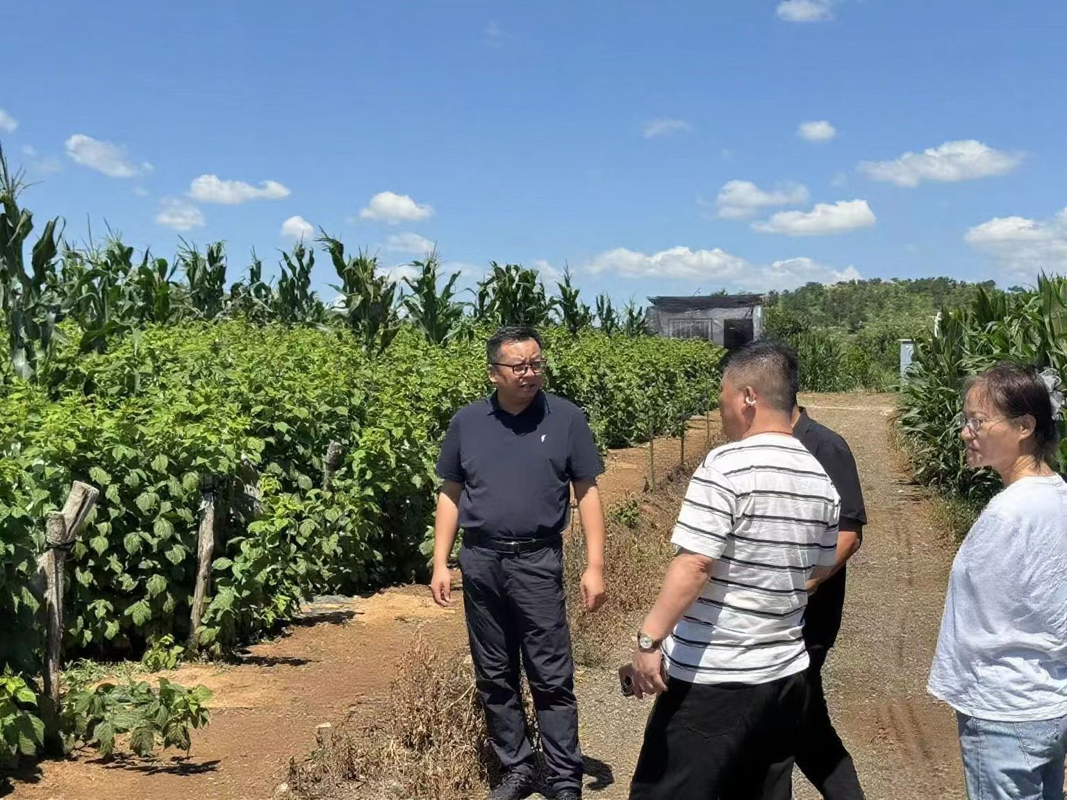 微信图片_20250714094617_44